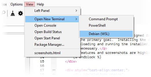 The Open Terminal submenu showing the availability of a Debian WSL terminal
